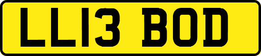 LL13BOD