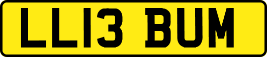 LL13BUM
