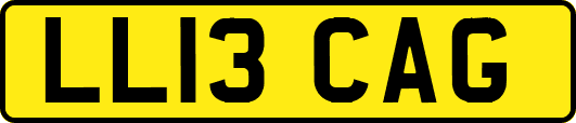 LL13CAG