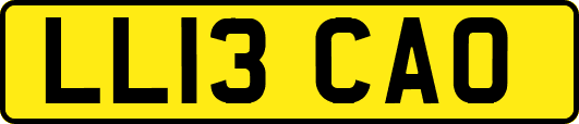 LL13CAO
