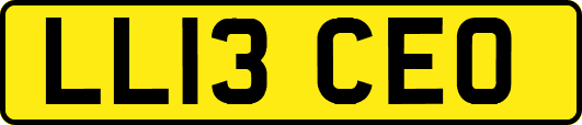 LL13CEO