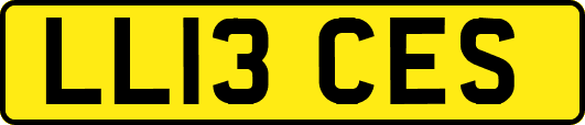 LL13CES