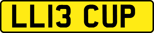LL13CUP