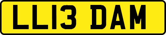 LL13DAM
