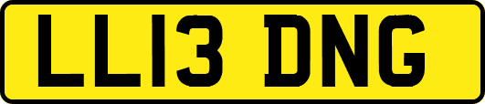 LL13DNG