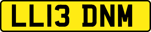 LL13DNM