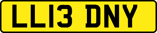 LL13DNY