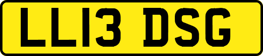 LL13DSG