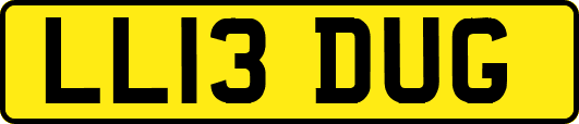 LL13DUG