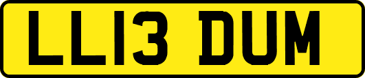 LL13DUM