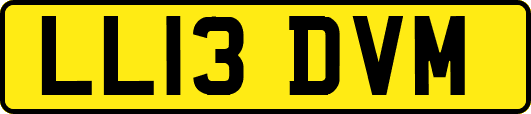 LL13DVM