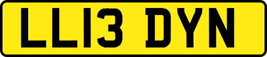 LL13DYN