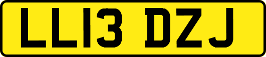 LL13DZJ