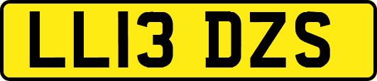 LL13DZS