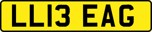 LL13EAG