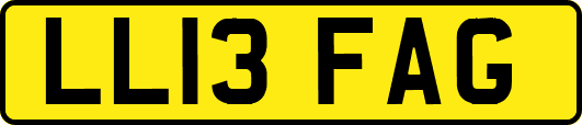 LL13FAG