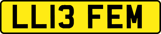 LL13FEM