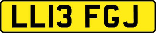 LL13FGJ