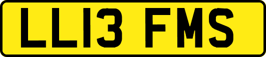 LL13FMS