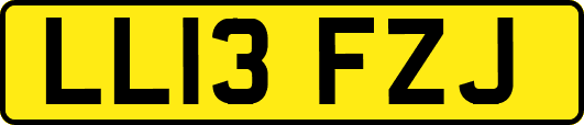 LL13FZJ