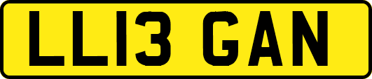 LL13GAN