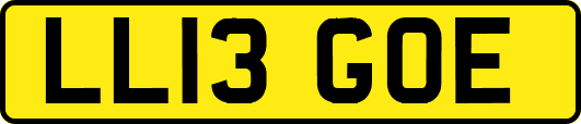 LL13GOE