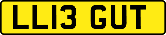 LL13GUT