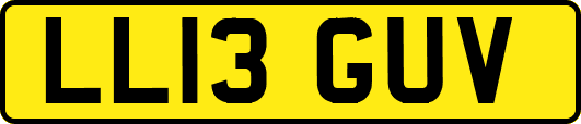 LL13GUV