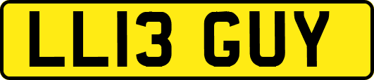 LL13GUY