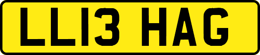 LL13HAG