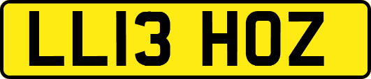 LL13HOZ