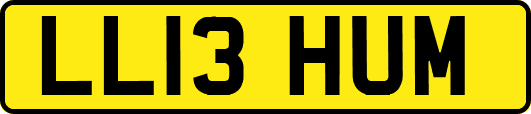 LL13HUM