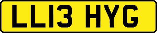LL13HYG