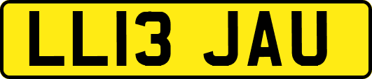 LL13JAU