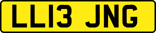 LL13JNG