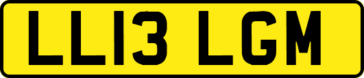 LL13LGM