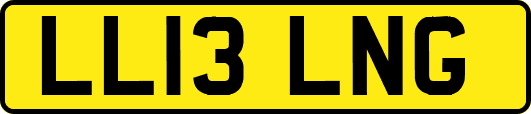 LL13LNG