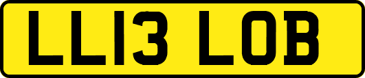 LL13LOB