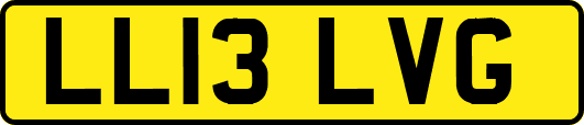 LL13LVG