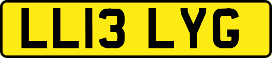 LL13LYG