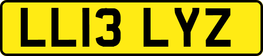 LL13LYZ