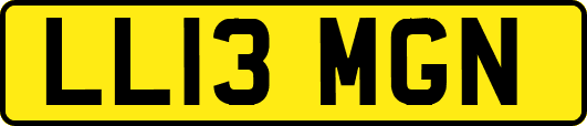 LL13MGN