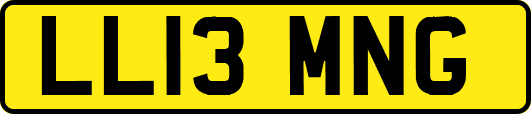 LL13MNG