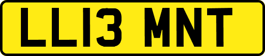 LL13MNT