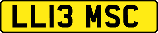 LL13MSC