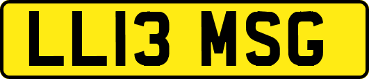 LL13MSG