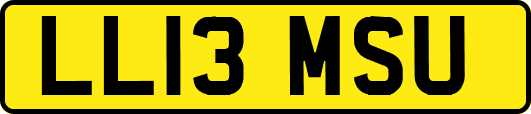LL13MSU