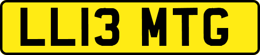 LL13MTG