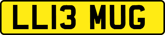 LL13MUG