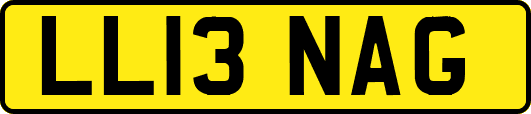 LL13NAG